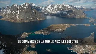 Documentary - The trade in codfish in Lofoten