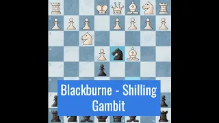 Blackburne - Shilling Gambit Trap | ChessTips from BotMan #2