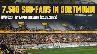 Borussia Dortmund II vs. Dynamo Dresden: 7.500 SGD-Fans in Dortmund (12.03.2023)