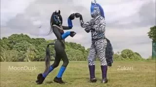 Zukari and MoonDusk stallions meet