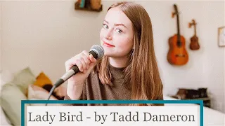 Lady Bird - Miles Davis Transcription (song by Tadd Dameron)