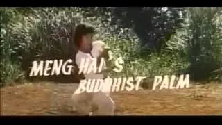 The Buddha Assassinator (1980) trailer