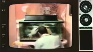 CBS Saturday Morning Bumpers 1979-1997