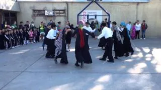 Israeli Dance -  "Hashu'al"