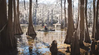 Kayak Camping Caddo Lake - 3 Day Swamp Survival