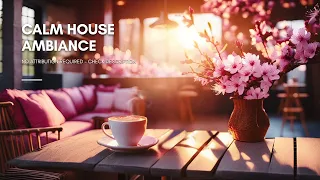 Free Stock Calm House Ambiance Video 🌸 (No Attribution Required!)