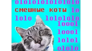 СмЕшНыЕ КоТы XD | funny cats