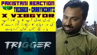 Pakistani Reaction To TRIGGER - CARRYMINATI X VIBGYOR