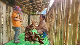 A single mother and her young children built a coop and caught chickens to raise.