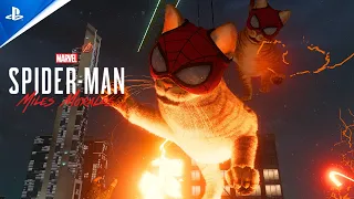 Playing as Spider-Cat in Miles Morales (Mod)