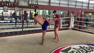 Muay Thai Technique - Body kick catch and Sweep.
