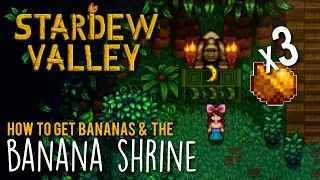 How to Complete the Banana Shrine on Ginger Island in Stardew Valley - Earn 3 Golden Walnuts fast!