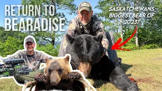 THE BIGGEST BLACK BEAR WITH A BOW IN CANADA OF 2023? INCREDIBLE DEATH MOAN!