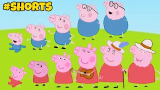 Peppa Pig and George Pig GROWING UP EVOLUTION|Peppa Pig e George Pig Evolução do Crescimento#shorts