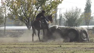 Манас Ниязов & Нуржан Мелисбек уулу 🔥🔥🔥🔥