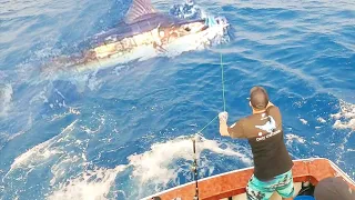 [Marlin] Finally caught that huge fish! !