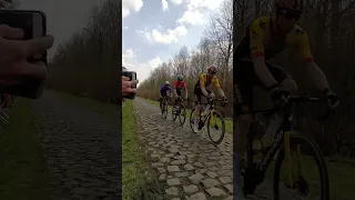 Paris Roubaix 2023 - Arenberg