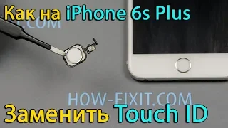 iPhone 6s Plus замена кнопки home