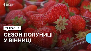 Сезон полуниці у Вінниці: скільки коштують сезонні ягоди на ринках