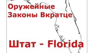 Штат - Florida - Оружейные Законы Вкратце