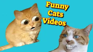 Funny Cat Videos 2021 Vol. 25 - Funny Animals 2021