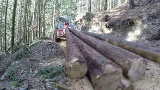 Winching logs with tractor winch Tajfun 2x5,5