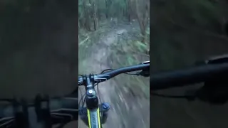 Riding Giant Talon 2 29er In The Woods 🤔