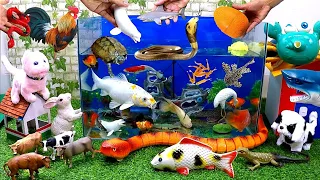 Catch Cute Animals, Rainbow Chicken, Rabbit, Turtle, Catfish, Crocodile, Big Snakes, Goldfish