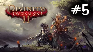 Return the special oranges! Divinity Original Sin 2 Part 5