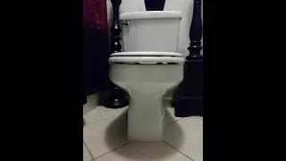 How To Make Your Bathroom/Toilet Smell Pleasant After Flushing (Toilet and Stench Talk)