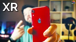 Apple iPhone XR Review: The Best, Not "the Cheap"!