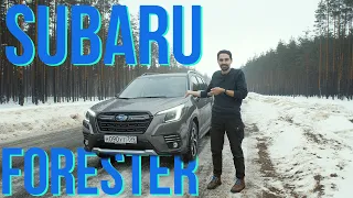 Протестировали новый Subaru Forester — и в городе было комфортно, и даже в лесу не застряли