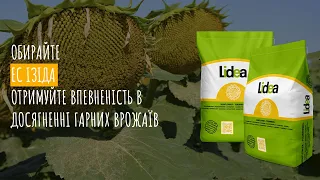 ЕС Ізіда - гібрид соняшнику Lidea