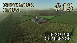 Making BIG Progress! - Newpark Farm - Episode 13 - Farming Simulator S19