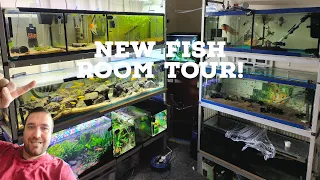 New Fishroom Tour!!!! 😀