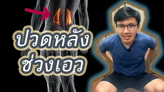 ปวดหลังช่วงเอว Quadratus Lumborum Pain-หมอนัท Live