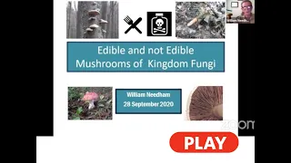 Edible and Non Edible Mushrooms of the Kingdom Fungi