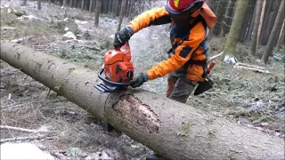 Forest job / Těžba dřeva - Echo 620 SX #173