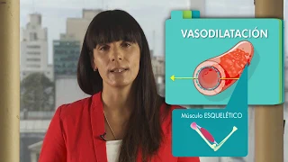 FISIOLOGÍA: Fisiología del ejercicio. PARTE I