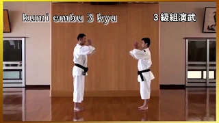 3 Kyu kumi-embu Shorinji Kempo. Demonstrations techniques, goho, juho. 少林寺拳法