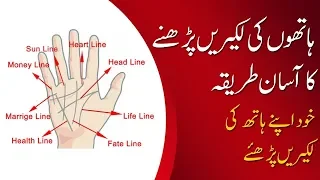What Your Hands Say About Your Personality | Palmistry for All | Astrology | AQ Tv