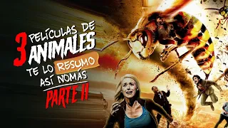 Las Peores Peliculas De Animales Asesinos (Avispas Asesinas y Jabalí Asesino) #TeLoResumo