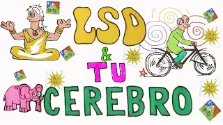 ¡El LSD, SINESTESIA y tu Cerebro!