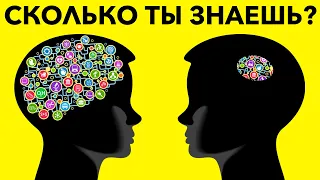 Насколько ты эрудирован? Тест на общие знания