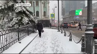 Оставайтесь дома: непогода накрыла Владивосток