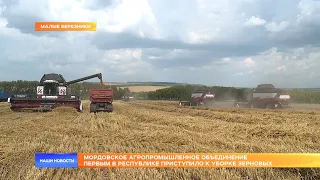Мордовское агропромышленное объединение первым в республике приступило к уборке зерновых