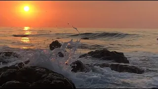 🎵Райская красота моря🌅 и завораживающее солнце🌞/Enjoy the beautiful sea🌊