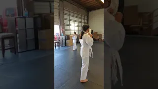Kenpo Karate Techniques- My Karate Kids working hard-Self Defense Training