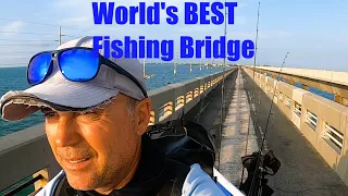 World's BEST Fishing Bridge Was LOADED!! (FL Keys Bridge Fishing)