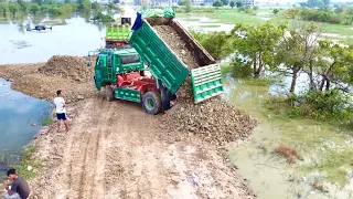 Part 2 Amazing D51PX Bulldozer Pushing Rocks Pond Filling Up And Dump Truck Unloading and Delivery